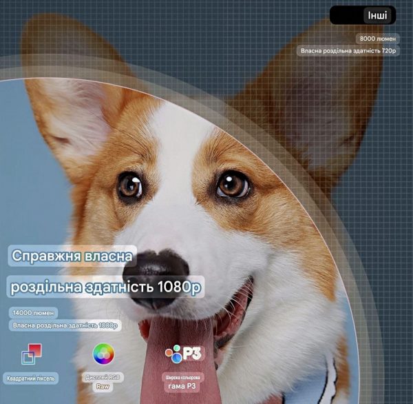 photo_2025-08-20_17-54-15